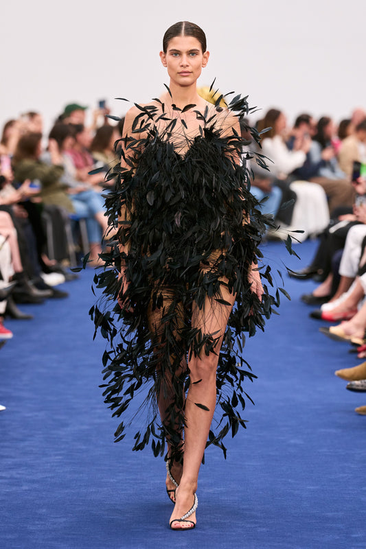 ALEXANDRE VAUTHIER HAUTE COUTURE FW2023 BLACK GOOSE FEATHER CORSET BODYSUIT