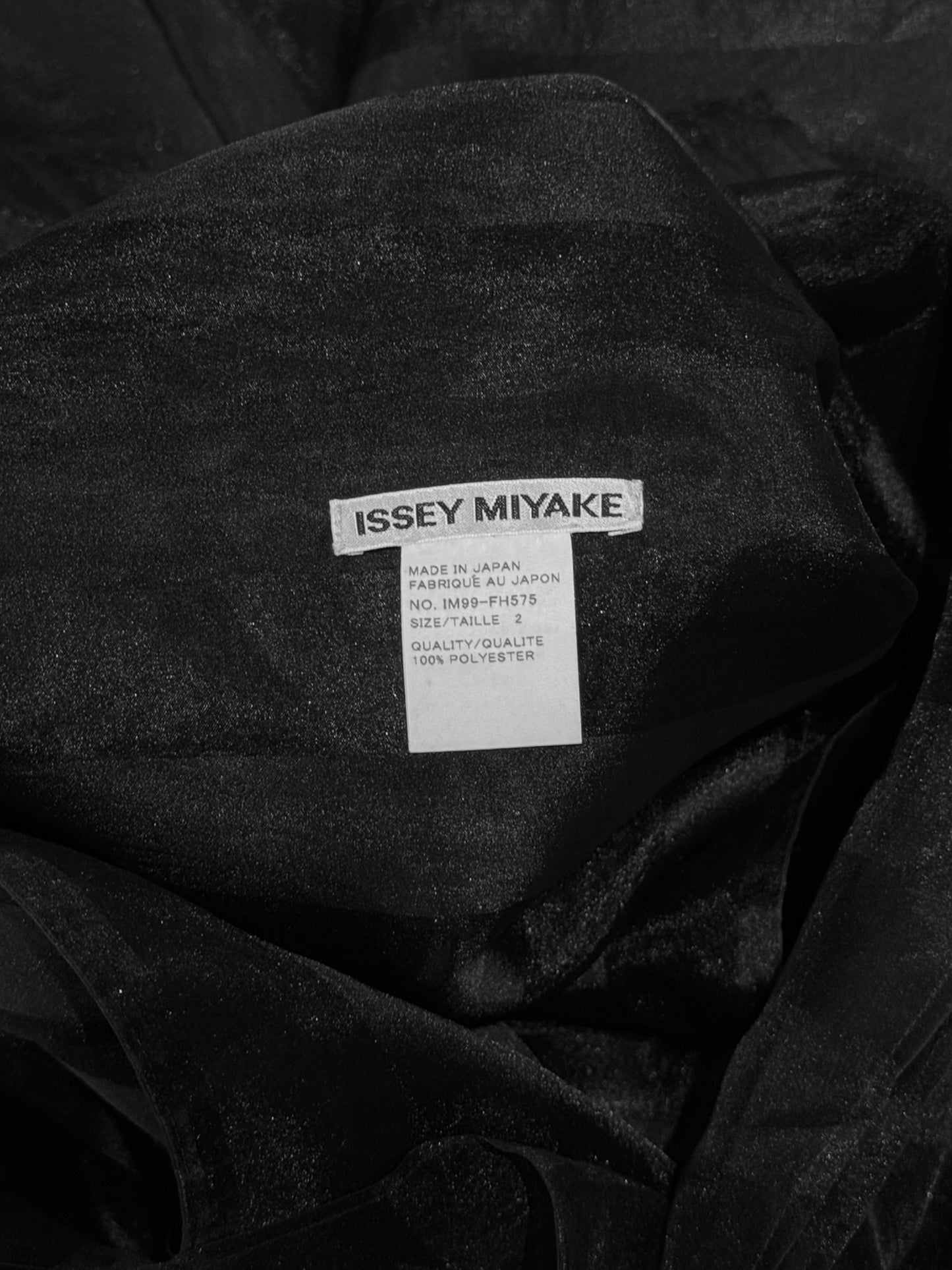 ISSEY MIYAKE FW2009 BY DAI FUJIWARA BLACK PANELS SHEER MAXI DRESS