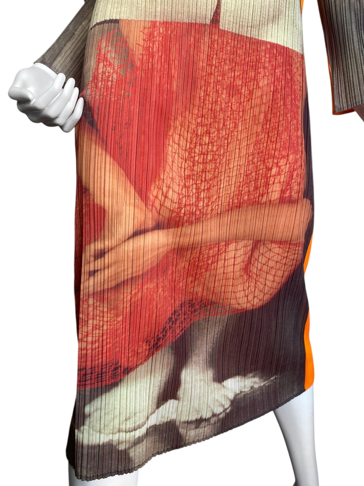 PLEATS PLEASE ISSEY MIYAKE FW1996 X YASUMASA MORIMURA « LA SOURCE PORTRAIT » PLEATED MAXI DRESS