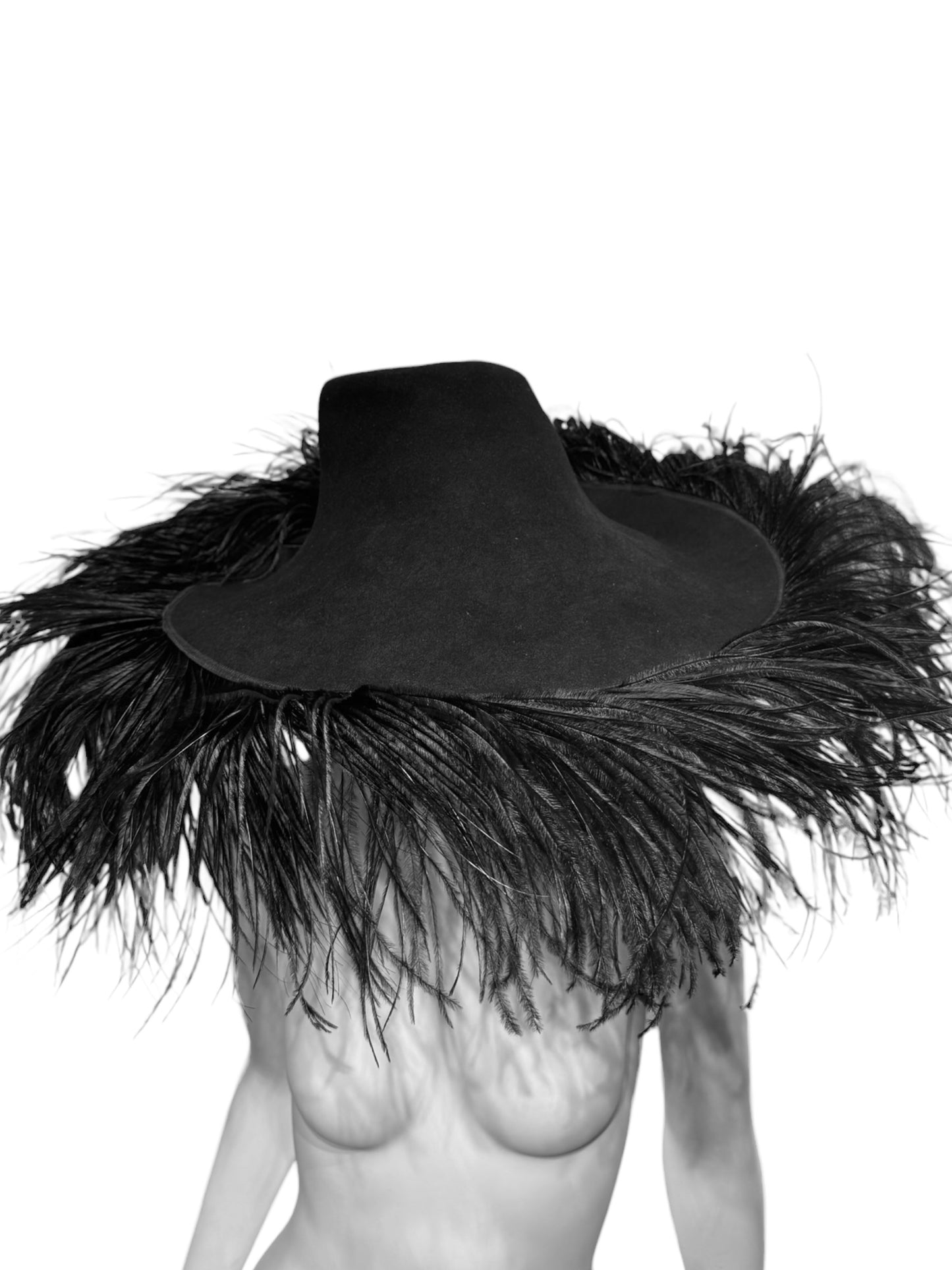 LANVIN FW2014 BY ALBER ELBAZ BLACK OSTRICH FEATHERS MAXI HAT