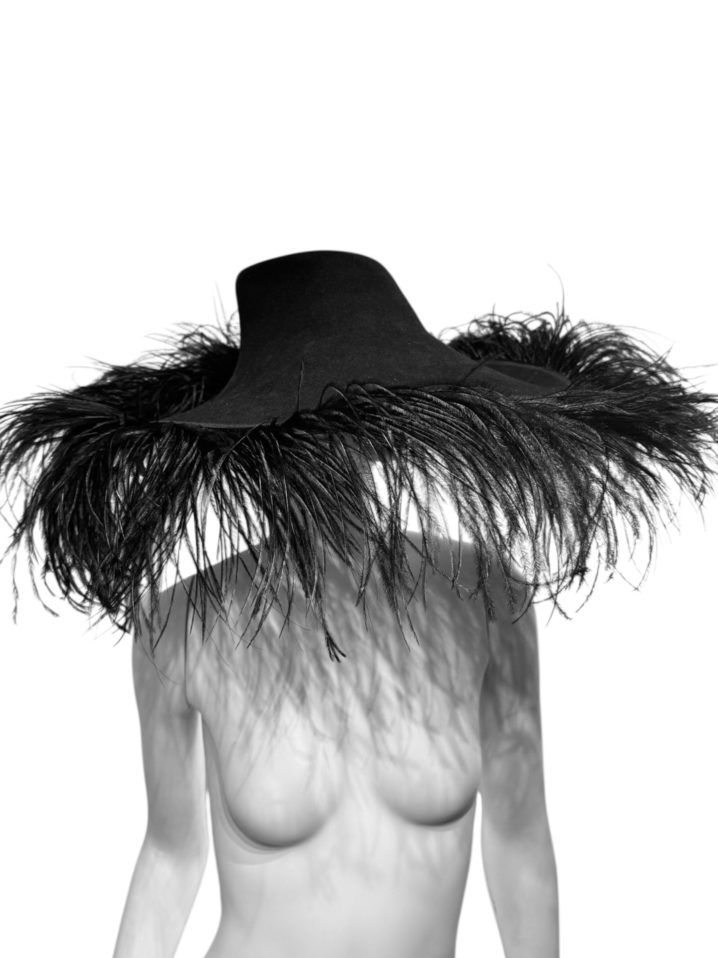 LANVIN FW2014 BY ALBER ELBAZ BLACK OSTRICH FEATHERS MAXI HAT