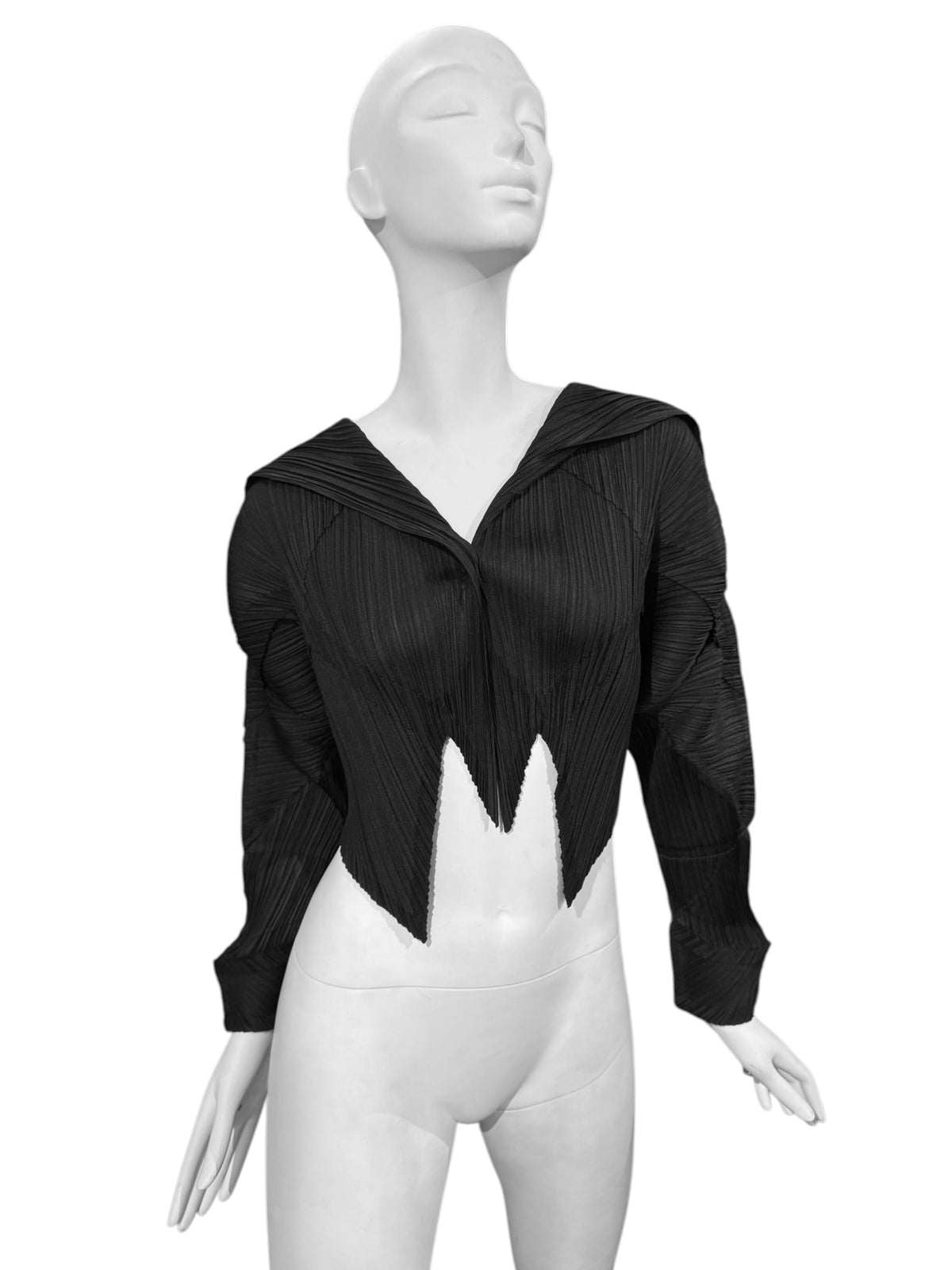 PLEATS PLEASE ISSEY MIYAKE FW2016 BLACK PLEATED JACKET