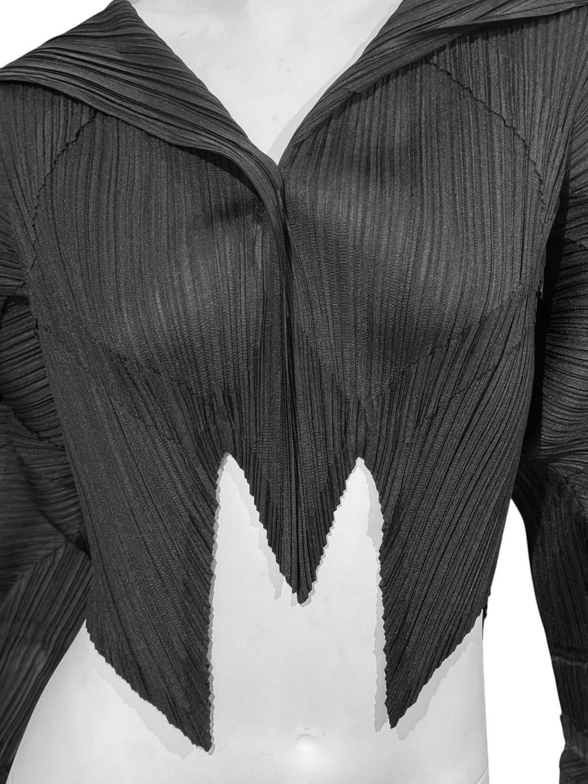 PLEATS PLEASE ISSEY MIYAKE FW2016 BLACK PLEATED JACKET
