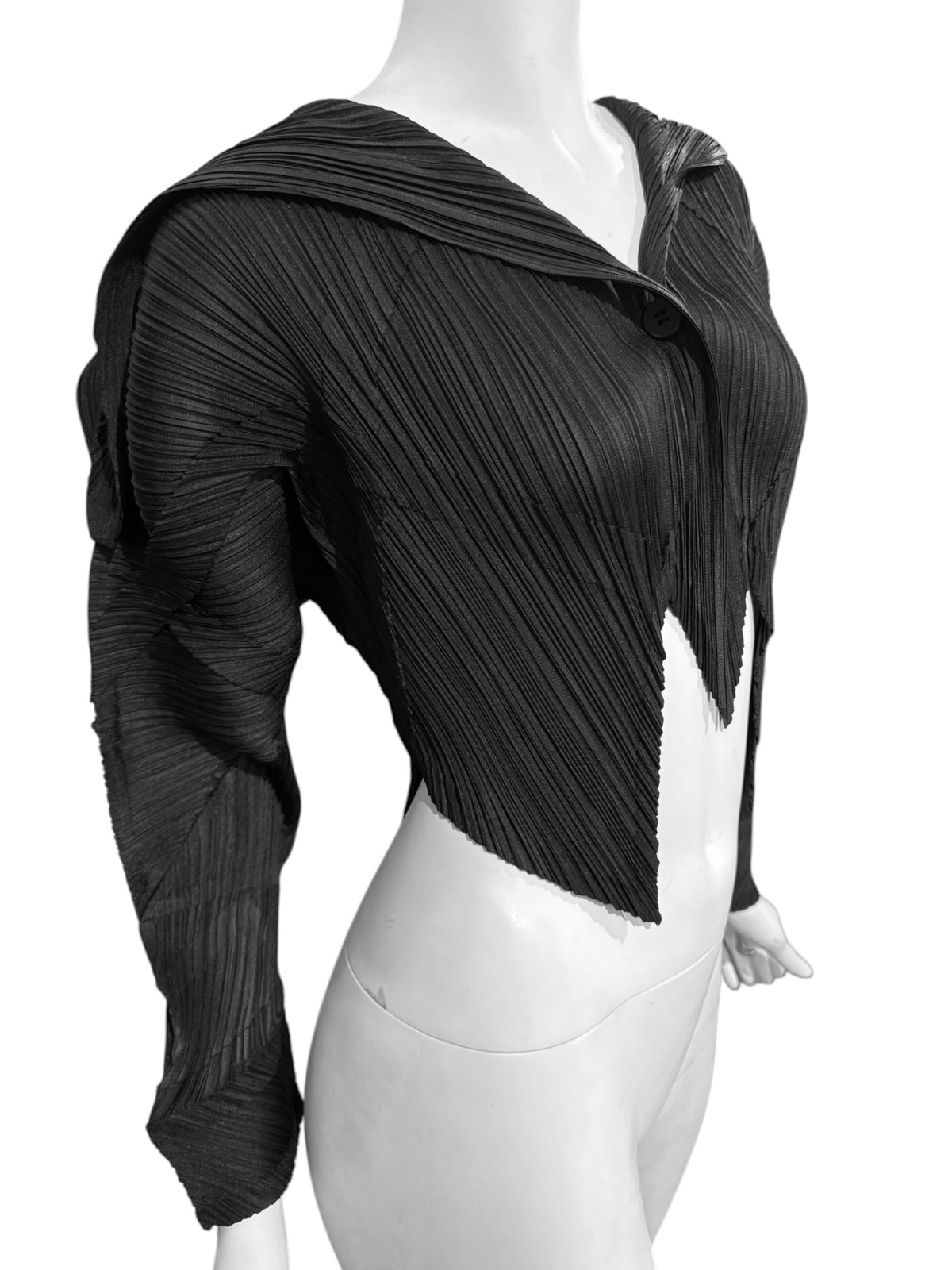 PLEATS PLEASE ISSEY MIYAKE FW2016 BLACK PLEATED JACKET