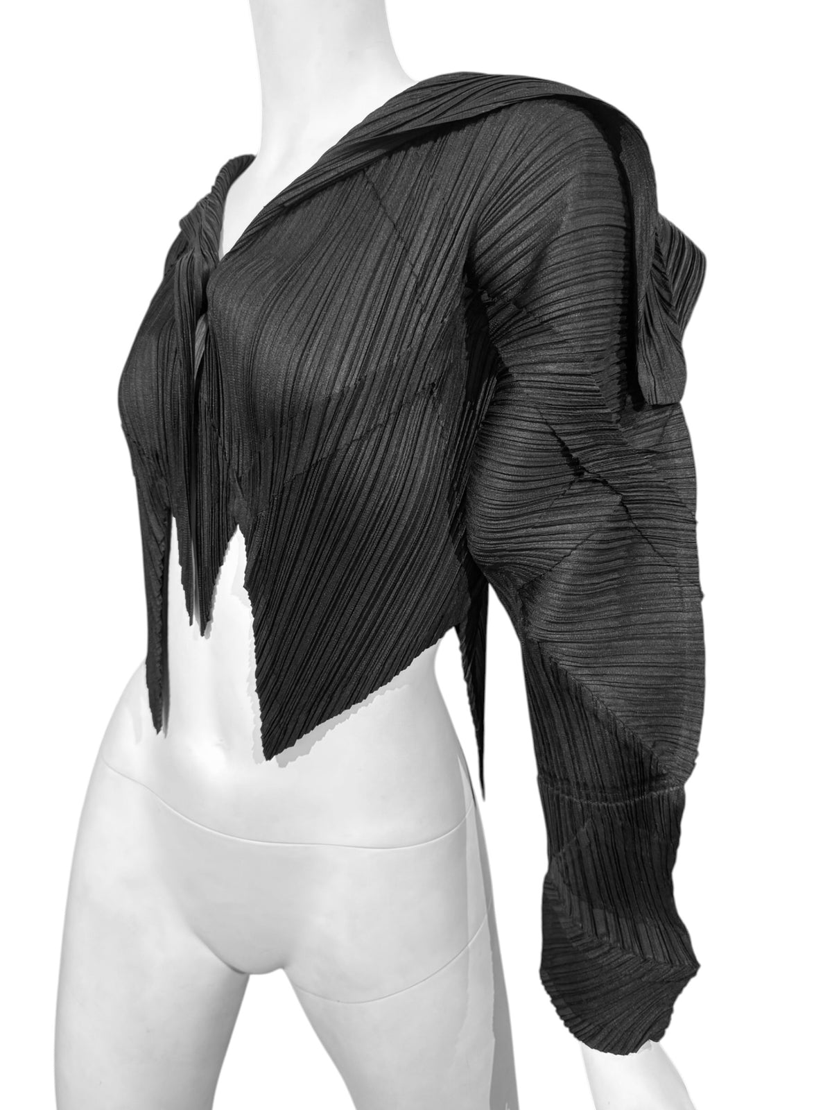 PLEATS PLEASE ISSEY MIYAKE FW2016 BLACK PLEATED JACKET