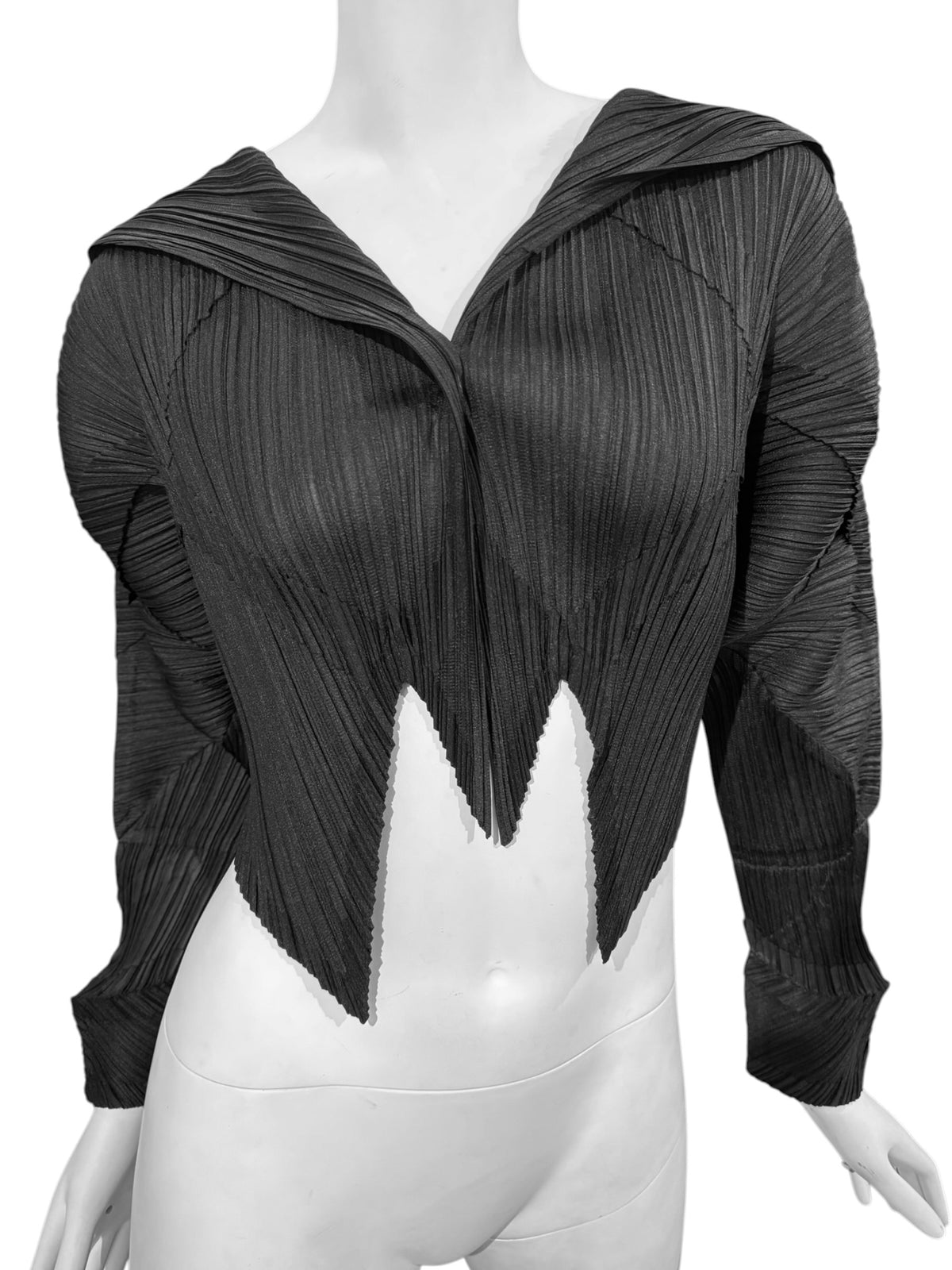 PLEATS PLEASE ISSEY MIYAKE FW2016 BLACK PLEATED JACKET